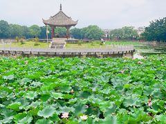 -建水文庙
