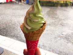 蛋筒-豆政(金閣寺境内売店)