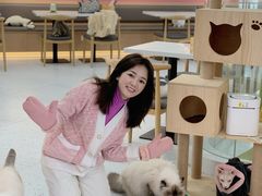 -喵园·猫主题咖啡厅·撸猫·猫咖(国贸店)