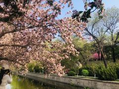 -元大都城垣遗址公园