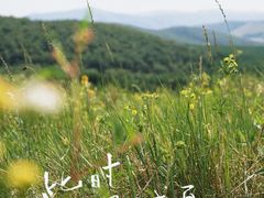 -百里天路