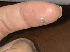 -高麦卷饼王(星海生活广场店)