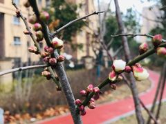 -上海东方佘山翰悦阁酒店·Vie全日制餐厅