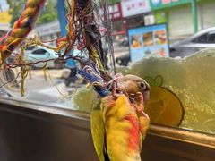 -吾叁·吉趣鸟咖(万科店)