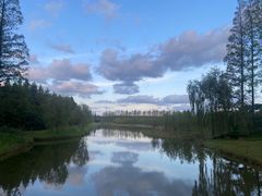 -黄海国家森林公园