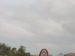 -一煲鸽