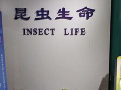 -上海昆虫博物馆