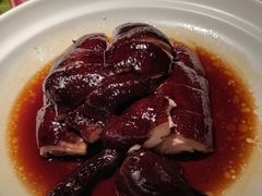 -三强鸽子(中原路店)