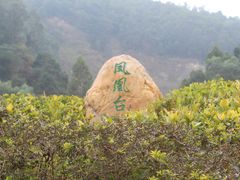 -火炉山森林公园