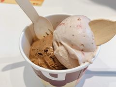 -哈根达斯(陆家浜路店)