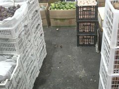 -西郊国际农产品交易中心