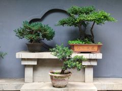 -成都杜甫草堂博物馆