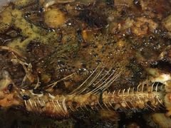 -醉巫山纸包鱼·私房菜