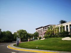 -长安先导国际创新人才交流中心