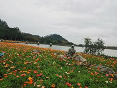 -顺峰山公园