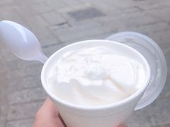 -洪馨椰子
