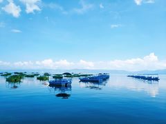 -抚仙湖禄充风景区