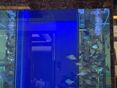 -原鄉本味 楚菜 丹江口鱼(北苑店)