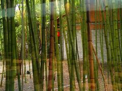 -九龙湾·御膳坊(九龙窠路店)