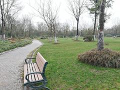 -上海海湾国家森林公园