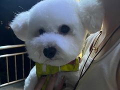 -酷宠动物医院(天通西苑店)