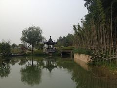 1.3-镇江市南山风景名胜区竹林景区