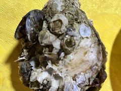 -台山新孖宝柴火黄鳝饭(三合温泉店)