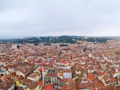 -圣母百花大教堂穹顶