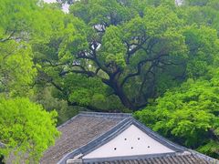 -楼外楼(西湖景区孤山路店)