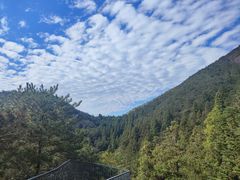 -玉苍山国家森林公园