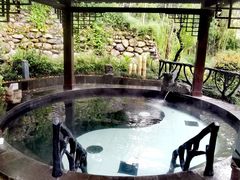 -宜春明月山维景国际温泉度假酒店