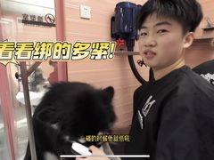 -FAELING PETS美天灵宠物(合生汇店)