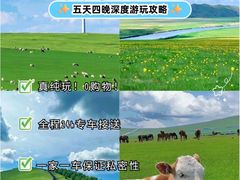 -呼伦贝尔大草原