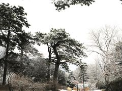 -香山公园-东宫门售票处