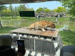 -上海野生动物园