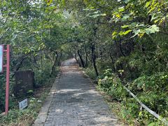 -灵岩山风景区