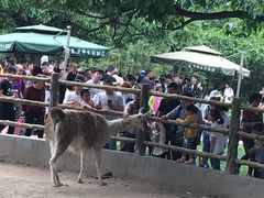 -西安秦岭野生动物园