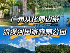-广州市流溪河国家森林公园