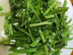 红薯苗-温州一家人美食(西木头市店)