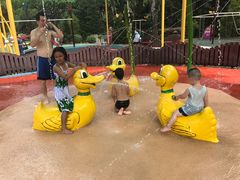 -新加坡飞禽公园