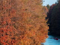 -上海海湾国家森林公园