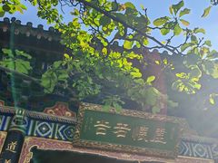 -真庆观