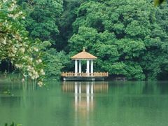 -华南国家植物园-售票处