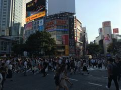-涩谷全向十字路口