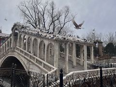 -北京世界公园