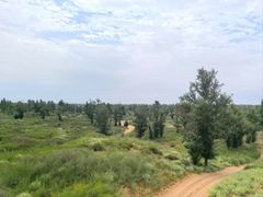 -银肯塔拉沙漠生态旅游景区