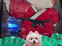 -和府捞面(东方浮庭店)