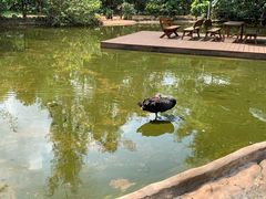 -海南热带野生动植物园