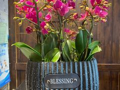 -八闽饭店闽南小镇(铁西店)