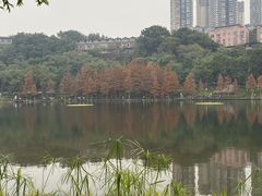 -重庆彩云湖湿地公园